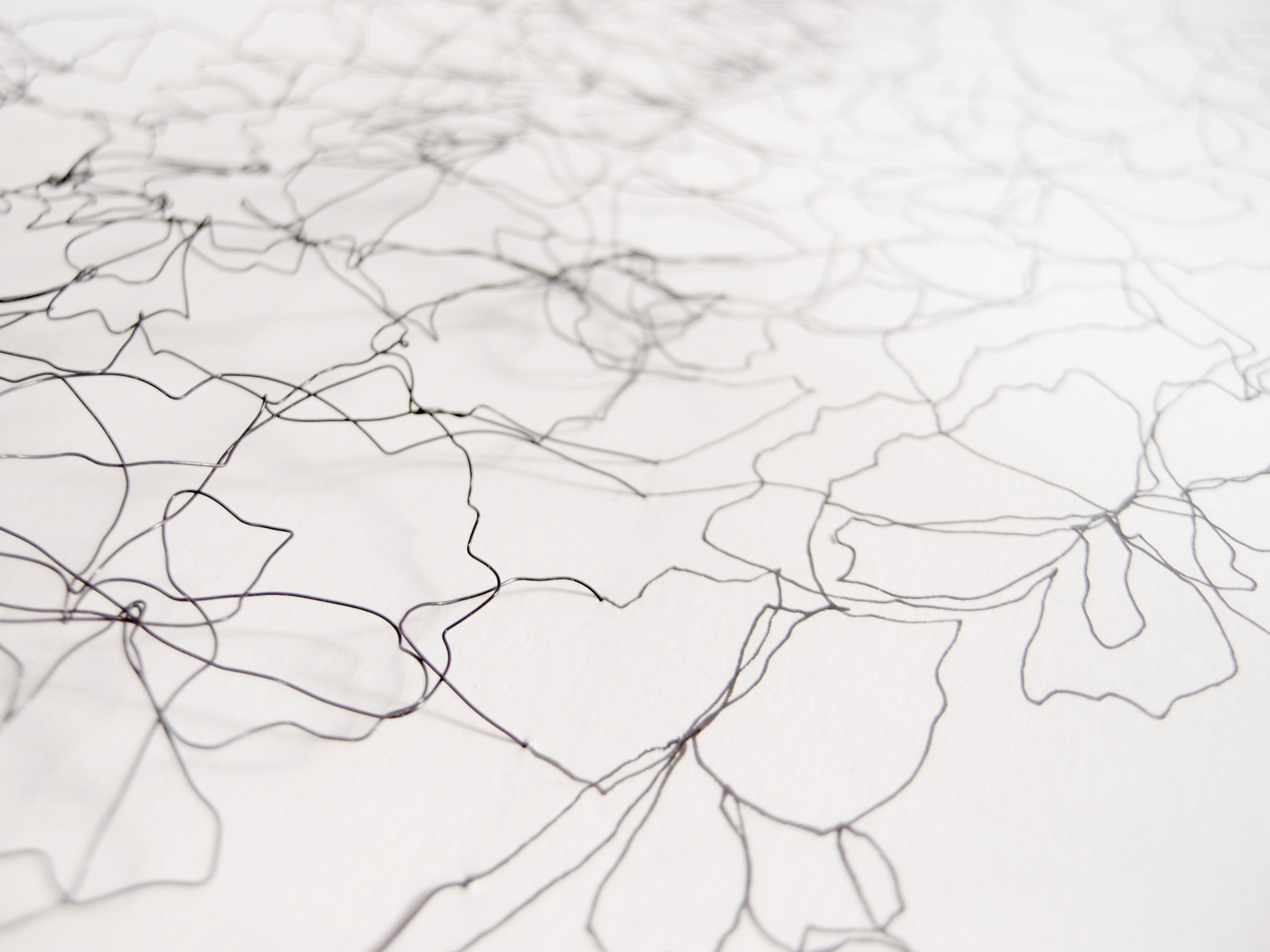 AZALEA. Detalle