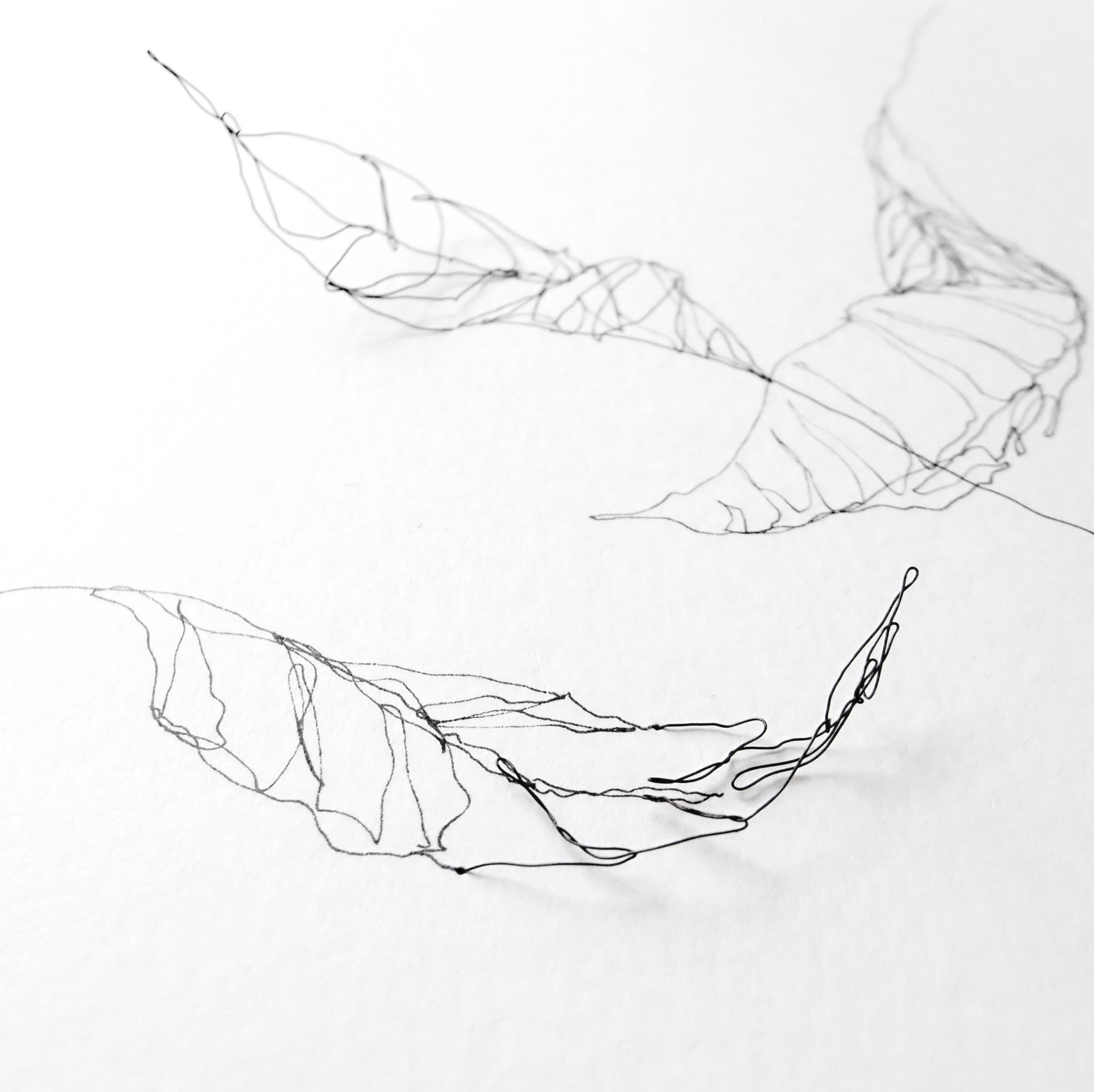 HOJAS. Detalle