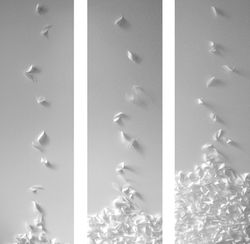 ACUMULACIÓN. Tríptico