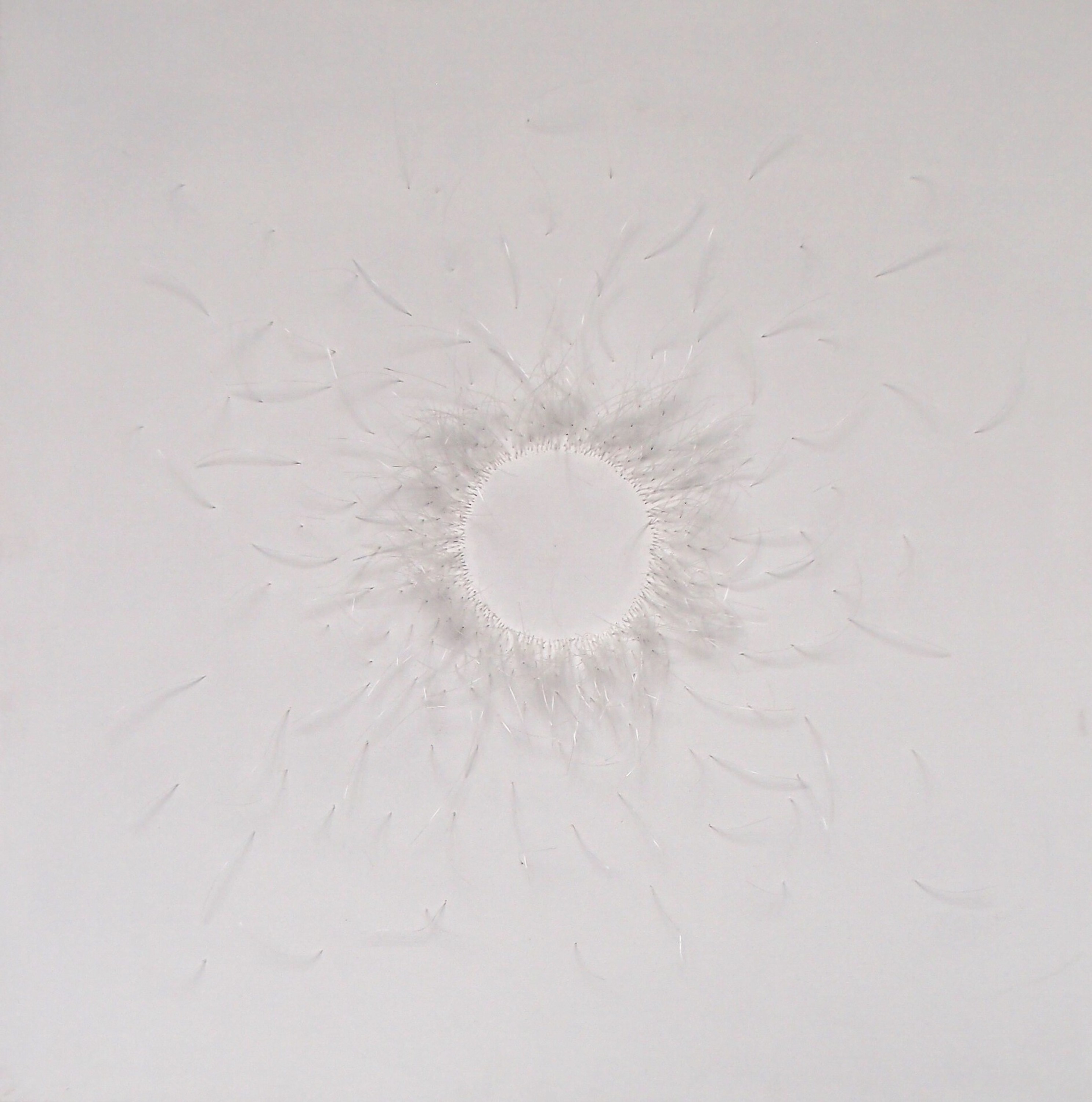 CIRCULO