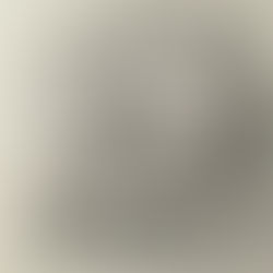 Connecting to the Wild Woman 