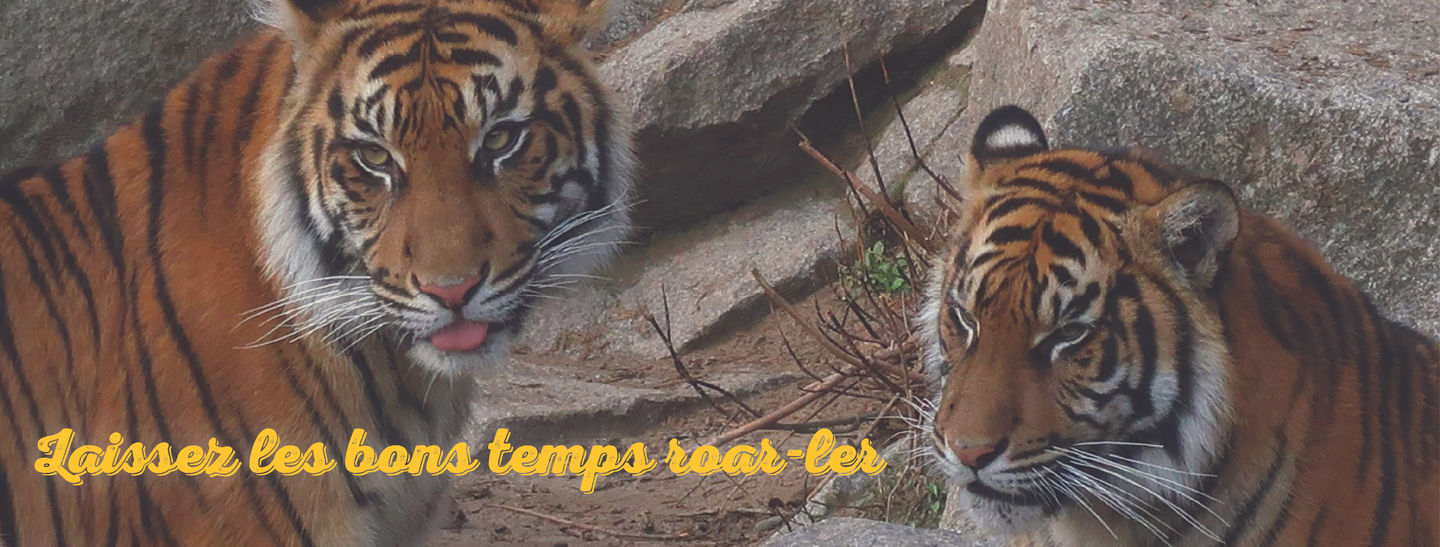 Mock Facebook Cover Photo
