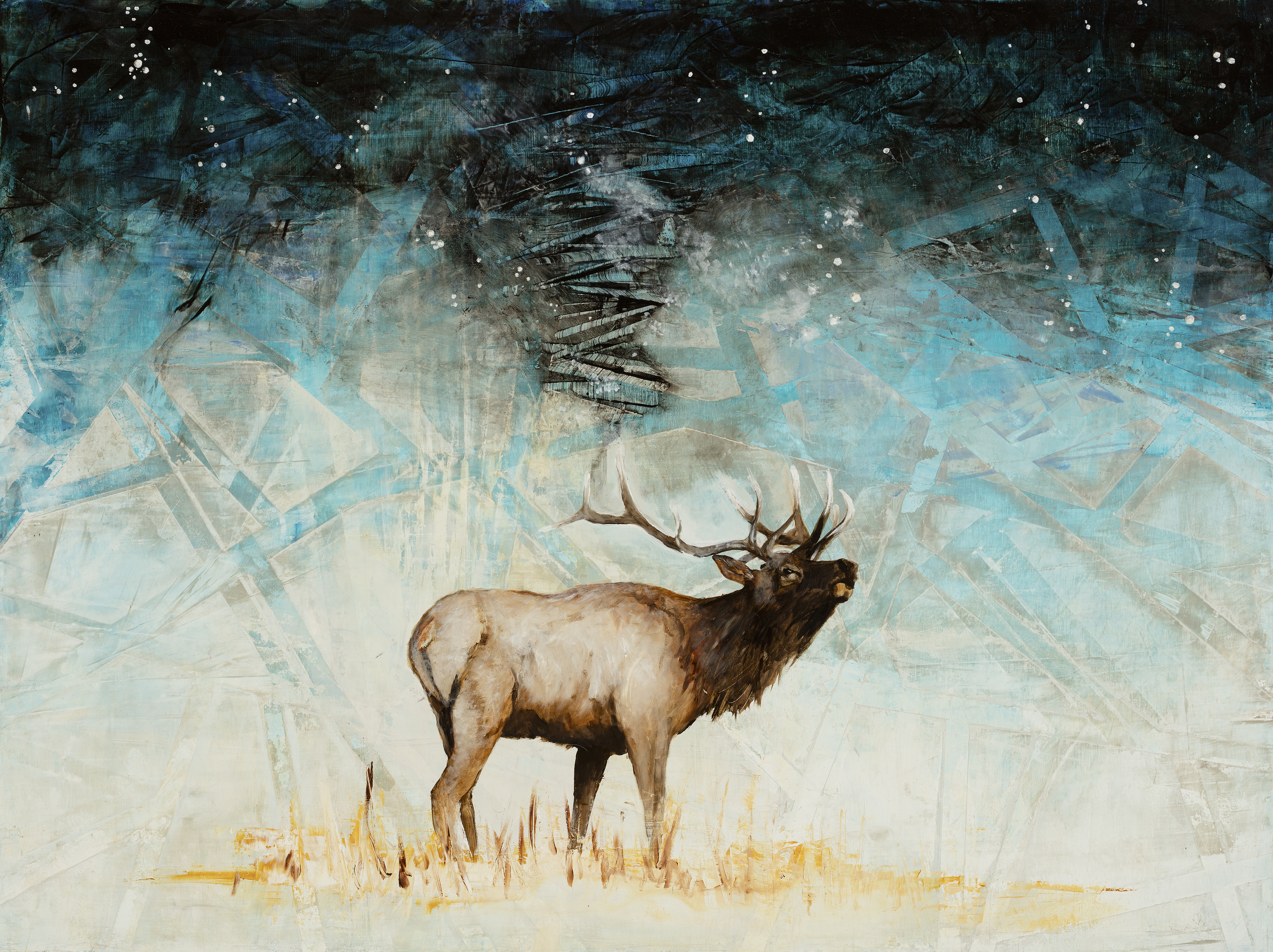 Wapiti Skies