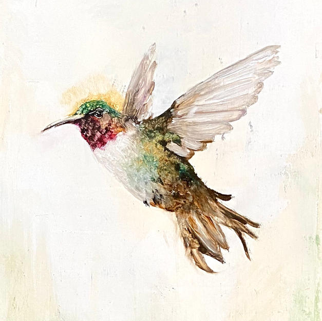 Broadtail II