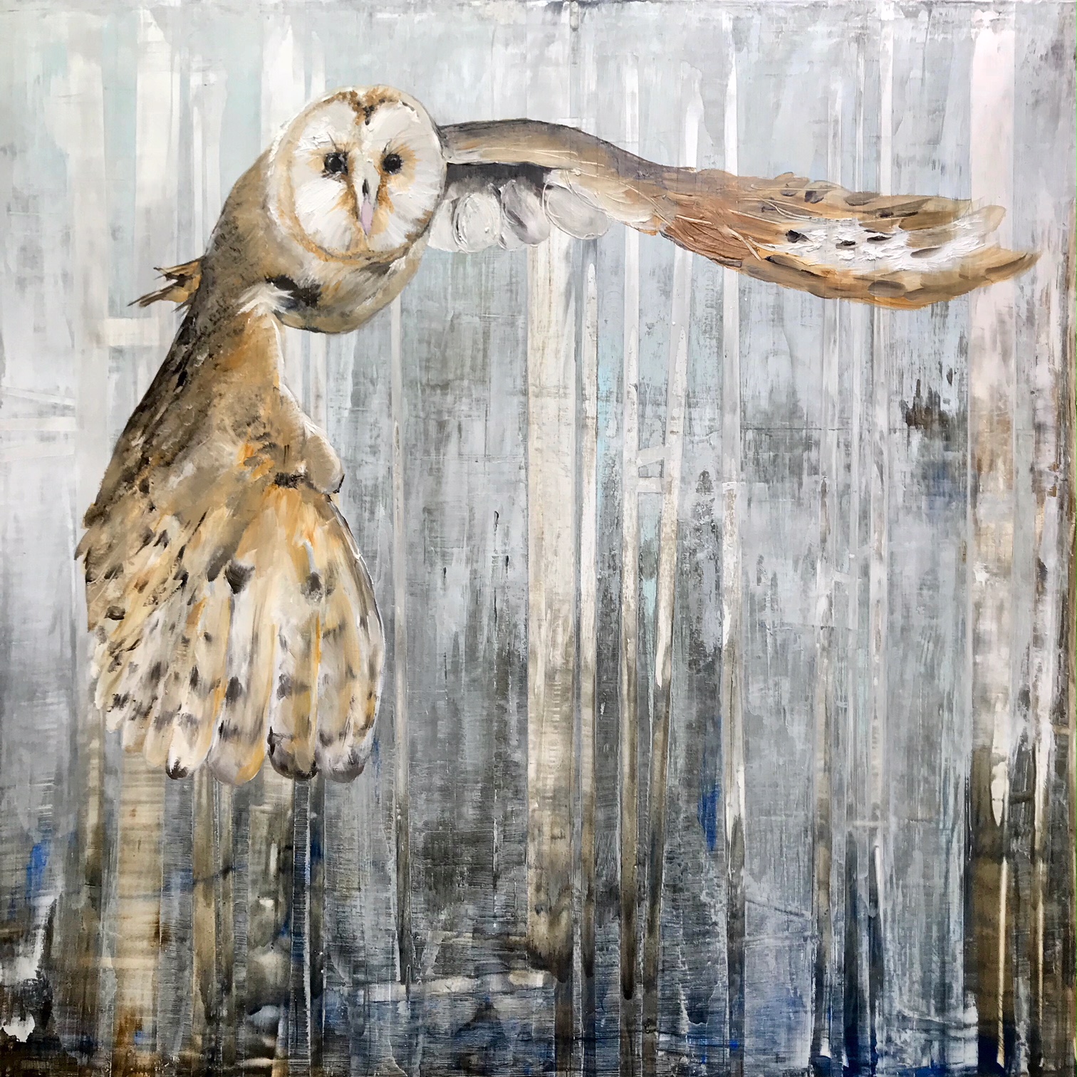 SOLD: Barn Owl
