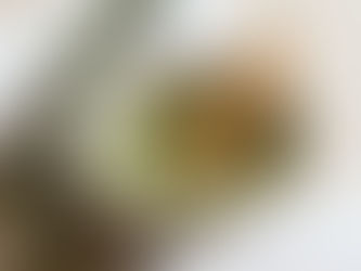 Masaje de Matcha en Girona: calma, equilibrio y renovación en Japanese Head Spa