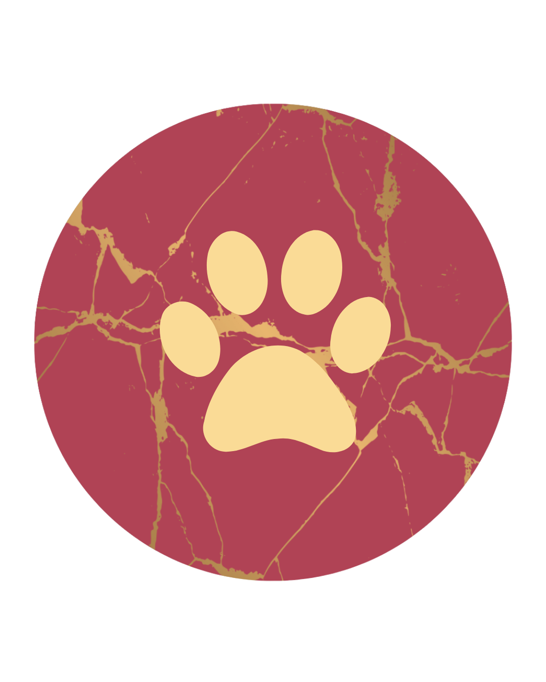 Foto del escritor: Japanese Pet Spa Bilbao 