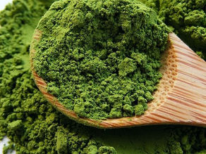 Kyoto Matcha Ritual
