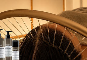 BANNER WEB.png