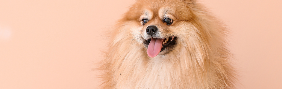 IMAGENES FICHA JHS GROUPON (2).png