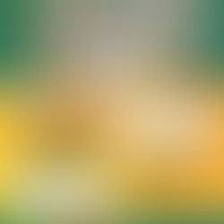 9月バスケ体験会のお知らせ