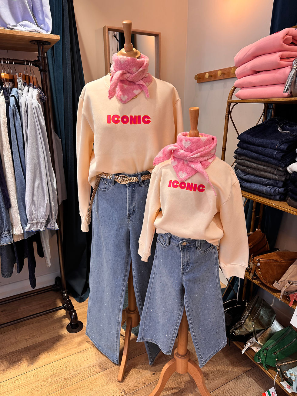 Miniature : Sweat Iconic adulte 