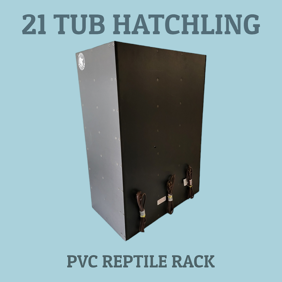 Thumbnail: 21 tub snake rack rear view