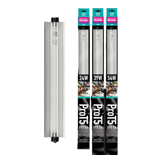 Arcadia ProT5 UVB Kit 24