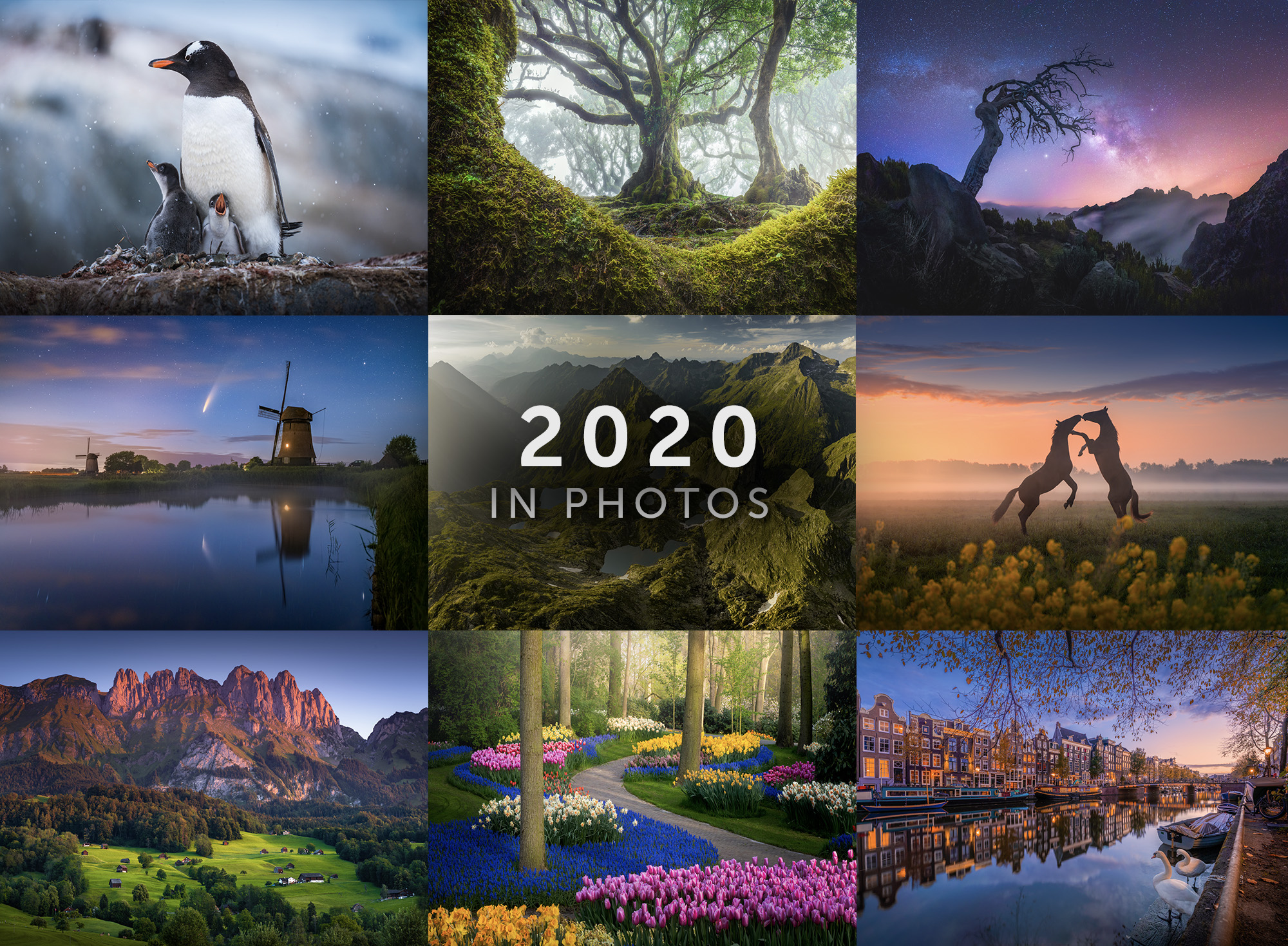 my photos 2019 my photos 2019