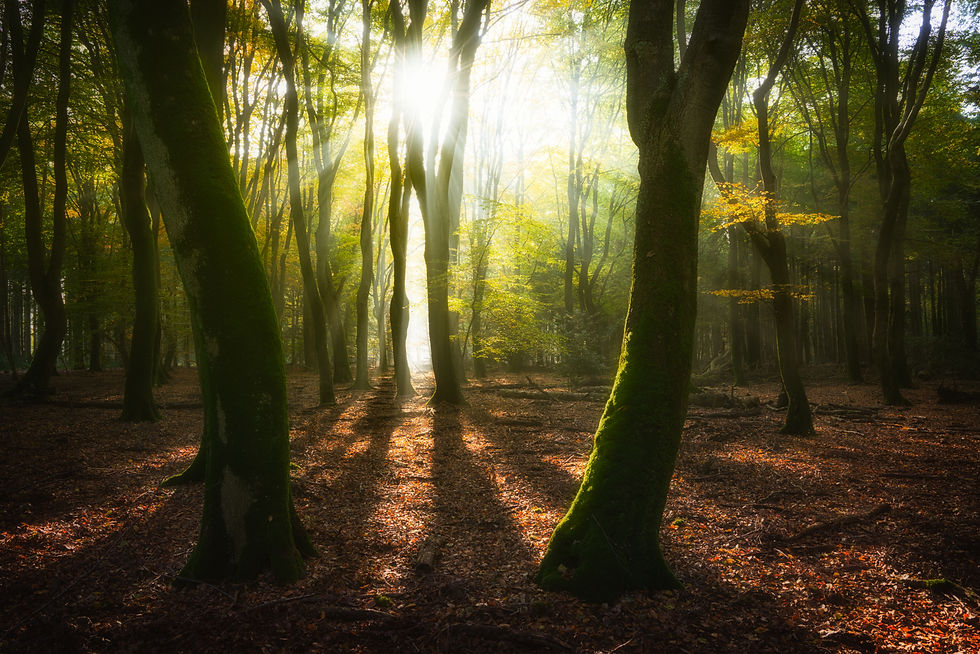 The Beauty of the Netherlands in 20 Pictures | Albert Dros