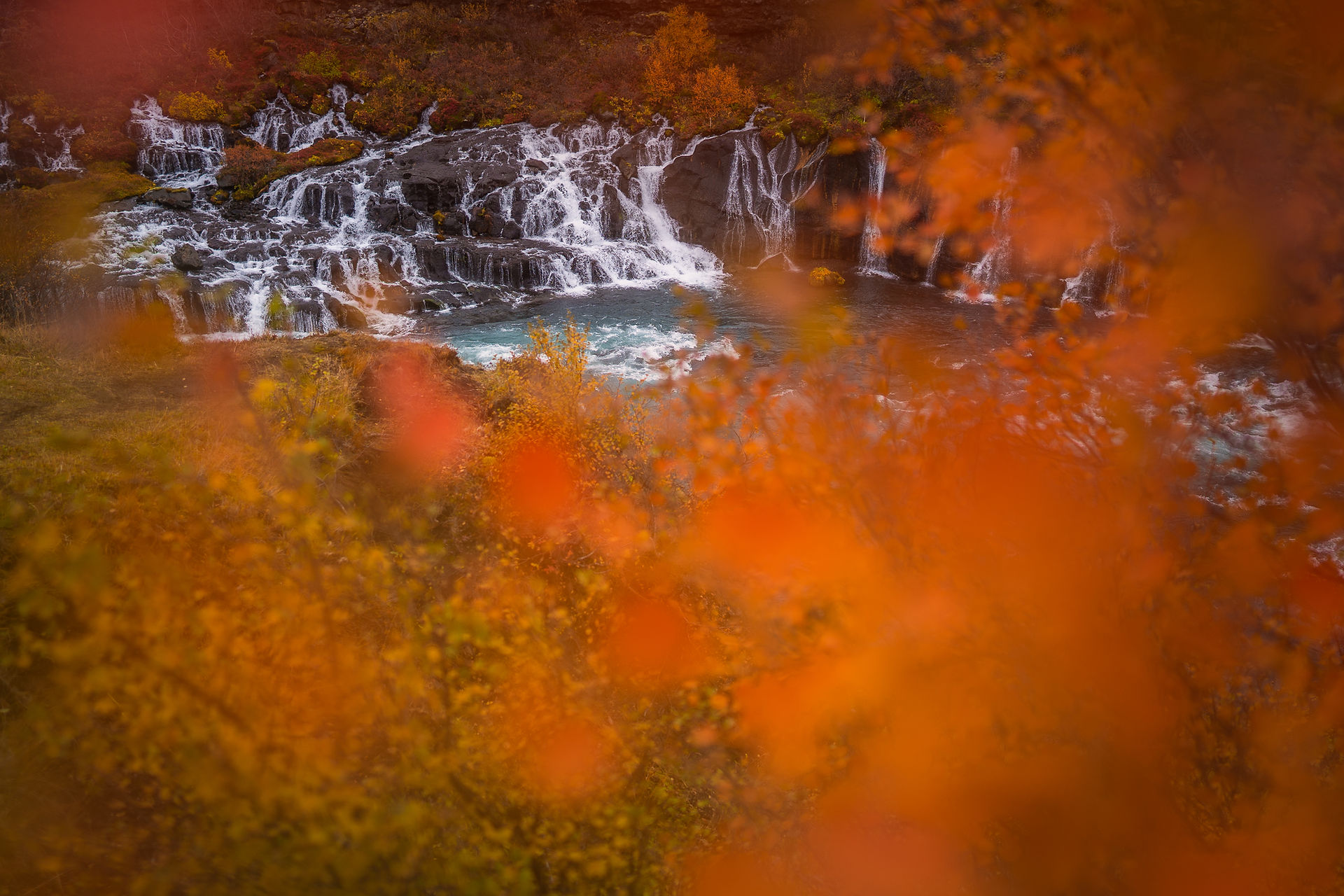 Autumn Colours