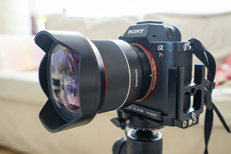 Samyang FE 14mm f/2.8 First Impressions by Albert Dros