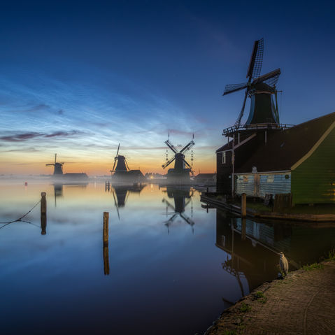A heron watches rare NLCs gracing the skies of the Netherlands with the windmills reflecting in calm waters.
