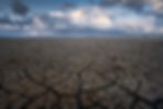 mud cracks at wadden sea