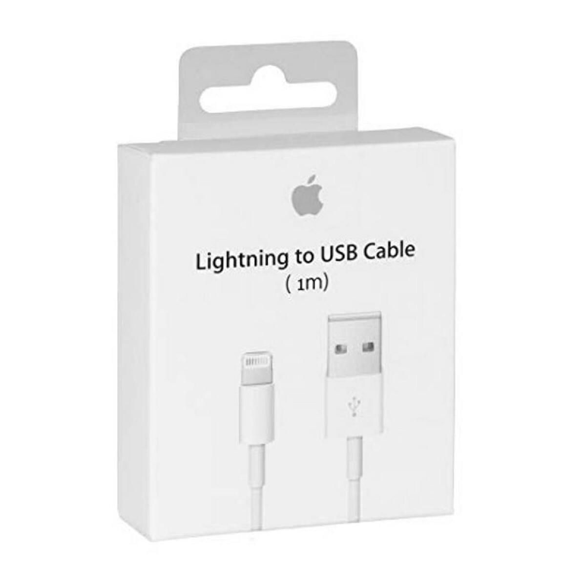 Cable Apple USB
