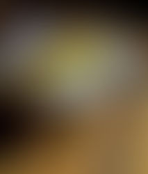 Journey to Jager: Picture Perfect