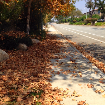 Birthday Shenanigans, Part One!