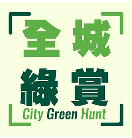 City Green Hunt.png
