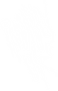 Asset 2_2x.PNG