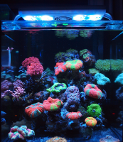 Luminária de led wif para aquarios