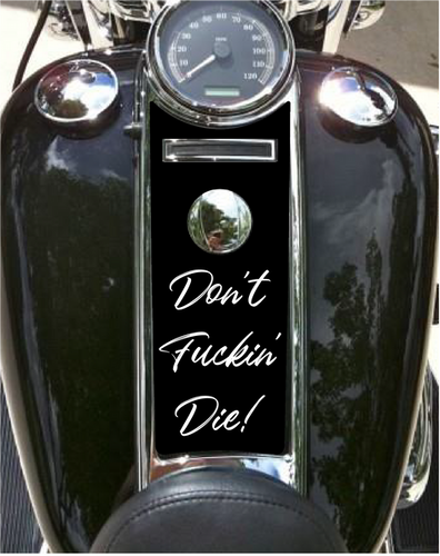 Epoxy Top - Gas Tank Dash Insert 06-07 Harley Streetglide - Gray E Skull Black E - Foto 2