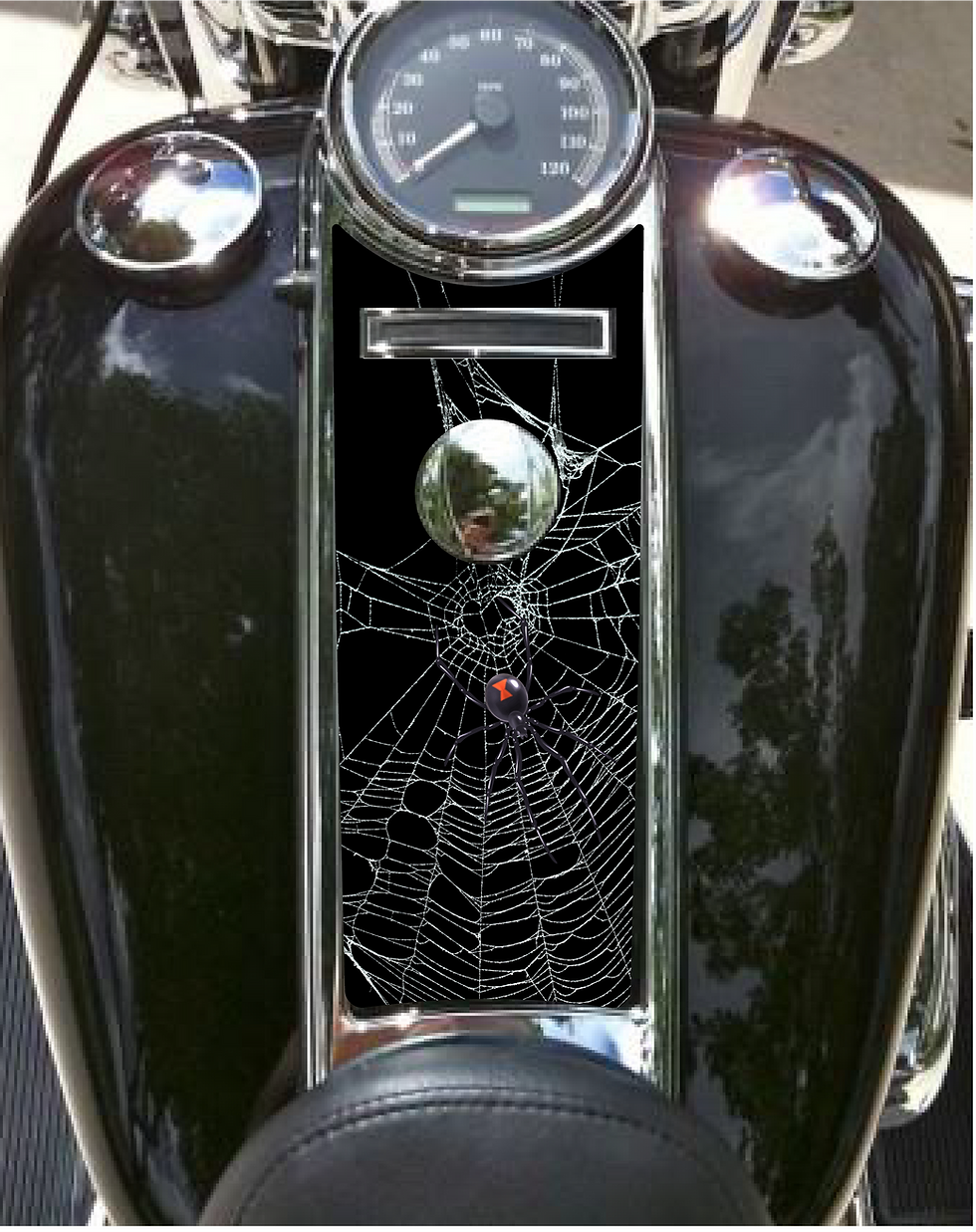 Spider Web Road King Console Dash Panel insert. Fits 08 to 23+