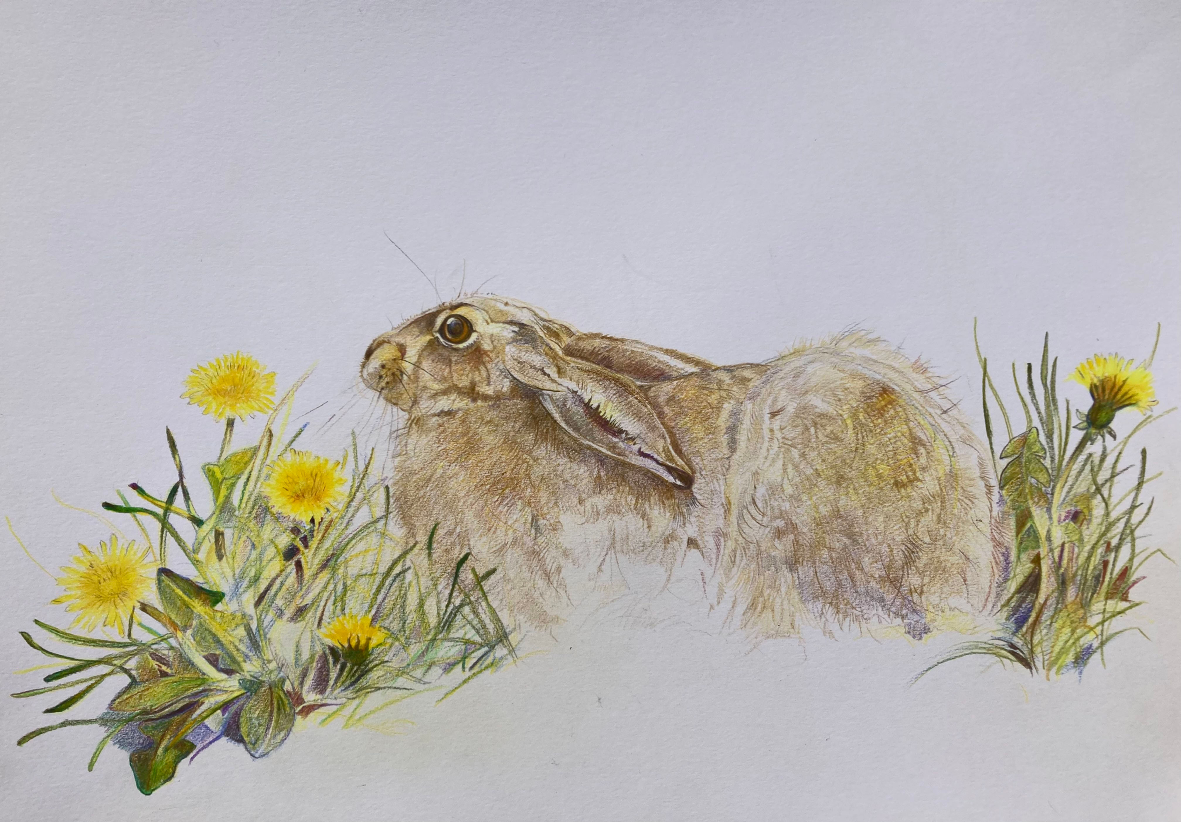 Hield and the Dandelions