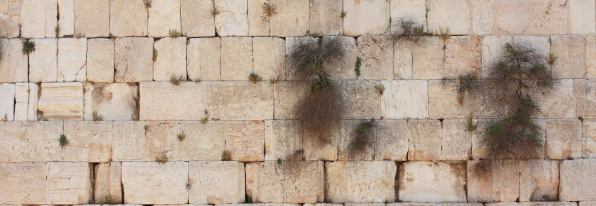 iStock_000016626422Small.jpg