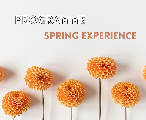 visuel spring pdv 1.png