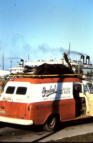 Gobel.jpg