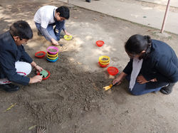 Cyberfair 2025 -  Dhaniya pata growing