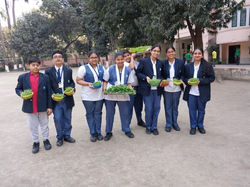 Cyberfair 2025 -  Dhaniya pata growing