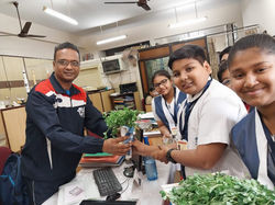Cyberfair 2025 -  Dhaniya pata sale