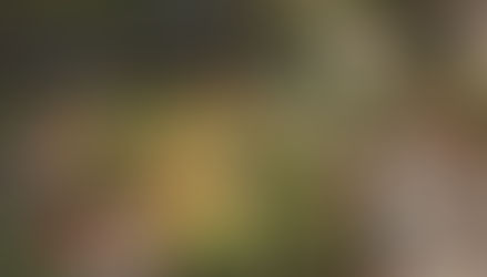 Projetos de hortas comunitárias e espaços verdes promovem saúde mental e convivência nos edifícios