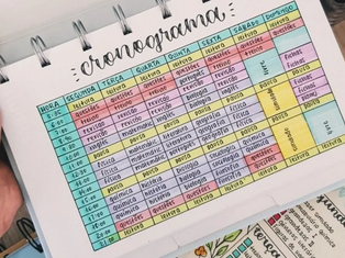 Vestibular 2026: veja cinco dicas para montar um plano de estudos
