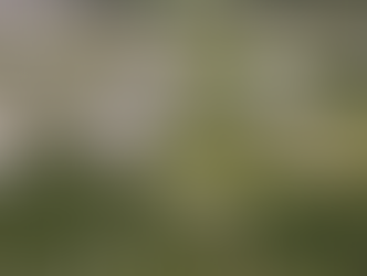 Curso de Medicina da Ufes é autorizado em São Mateus, ES