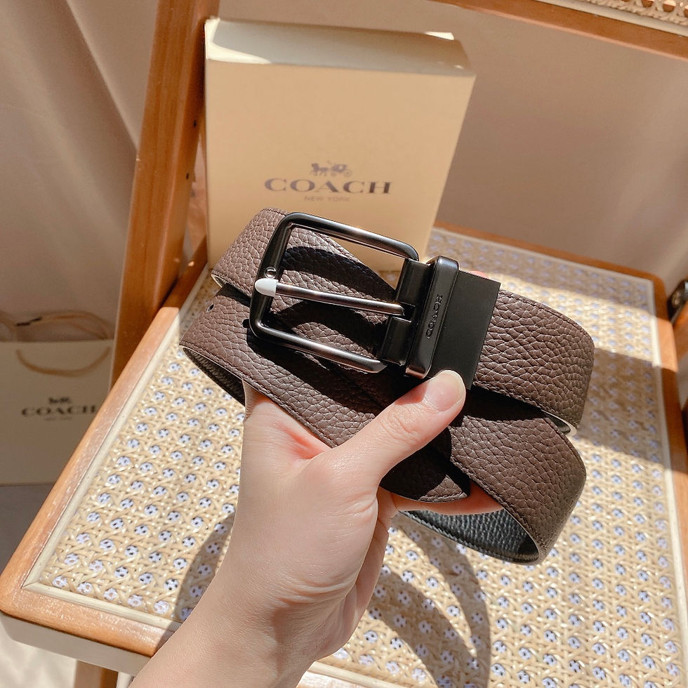 縮圖：Coach Belt