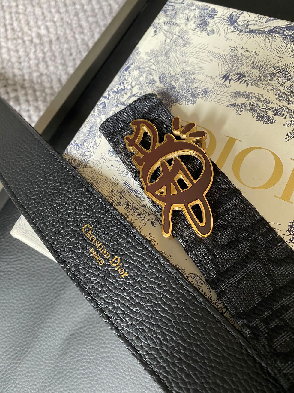 Thumbnail: Dior Belt