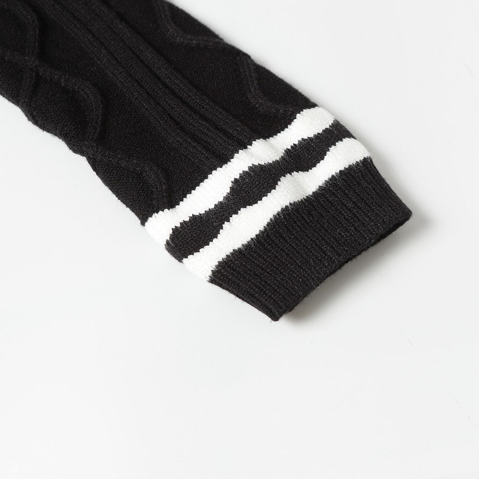 縮圖：LV Sweatshirt