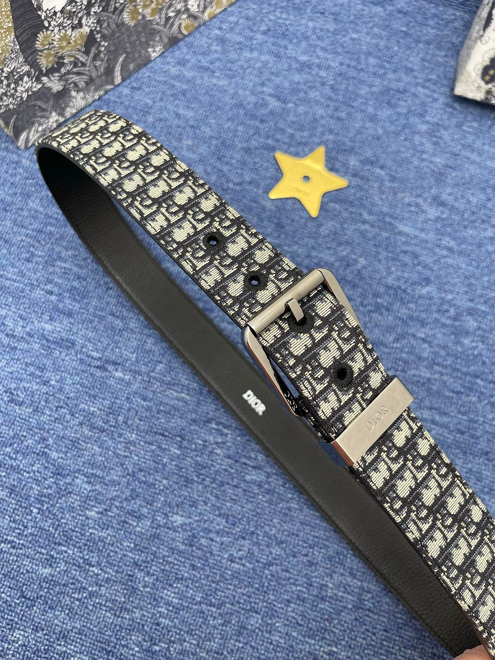 縮圖：Dior Belt