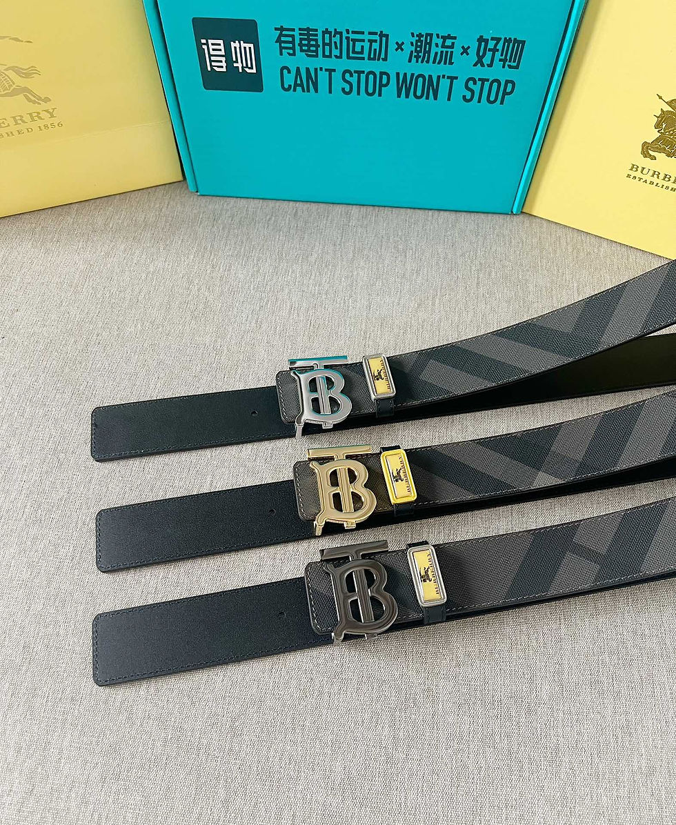 縮圖：Burberry Belt