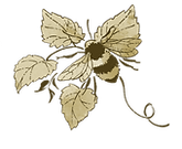 網站插圖2.png