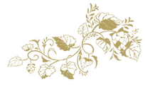 網站插圖2.png
