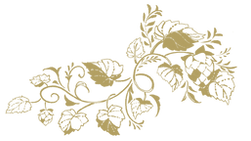 網站插圖2.png